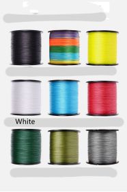Hook Drop Spinning Wheel Fishing Line (Option: White-4.0)